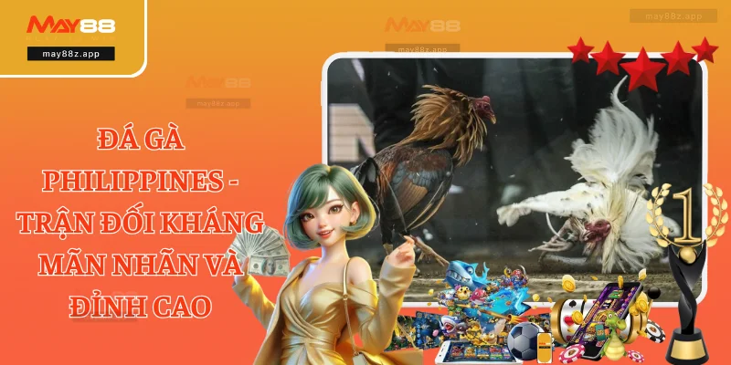 Đá Gà Philippines - Trận Đối Kháng Mãn Nhãn Và Đỉnh Cao 1 Đá Gà Philippines - Trận Đối Kháng Mãn Nhãn Và Đỉnh Cao