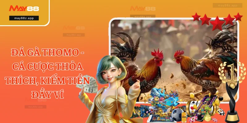 Đá Gà Thomo - Cá Cược Thỏa Thích, Kiếm Tiền Đầy Ví 2 Đá Gà Thomo - Cá Cược Thỏa Thích, Kiếm Tiền Đầy Ví
