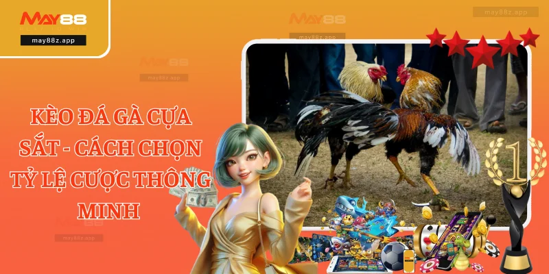 Kèo Đá Gà Cựa Sắt - Cách Chọn Tỷ Lệ Cược Thông Minh 3 Kèo Đá Gà Cựa Sắt - Cách Chọn Tỷ Lệ Cược Thông Minh