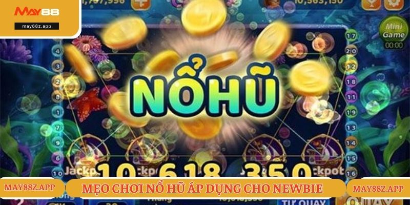 Nổ Hũ Jackpot - Siêu Phẩm Game Được Săn Đón Hiện Nay 3 Những mẹo tham gia nổ hũ Jackpot áp dụng cho newbie